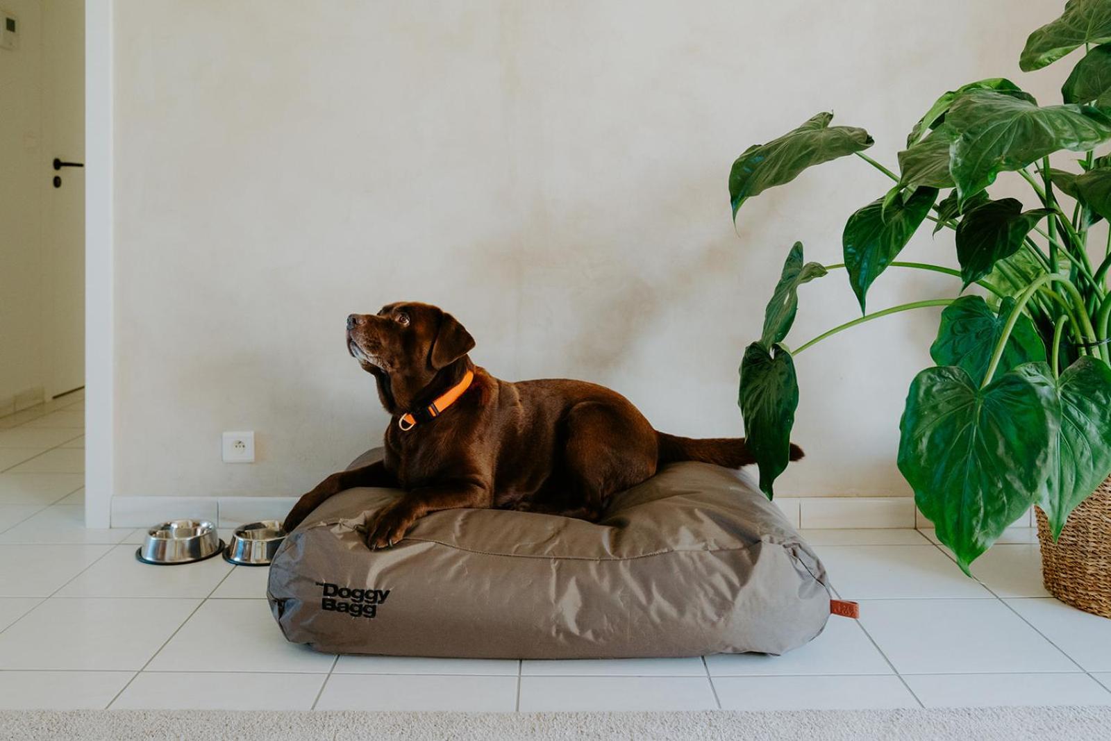 Appartement Prachtig, Rustig En Ruim Vlakbij Zee Coxyde