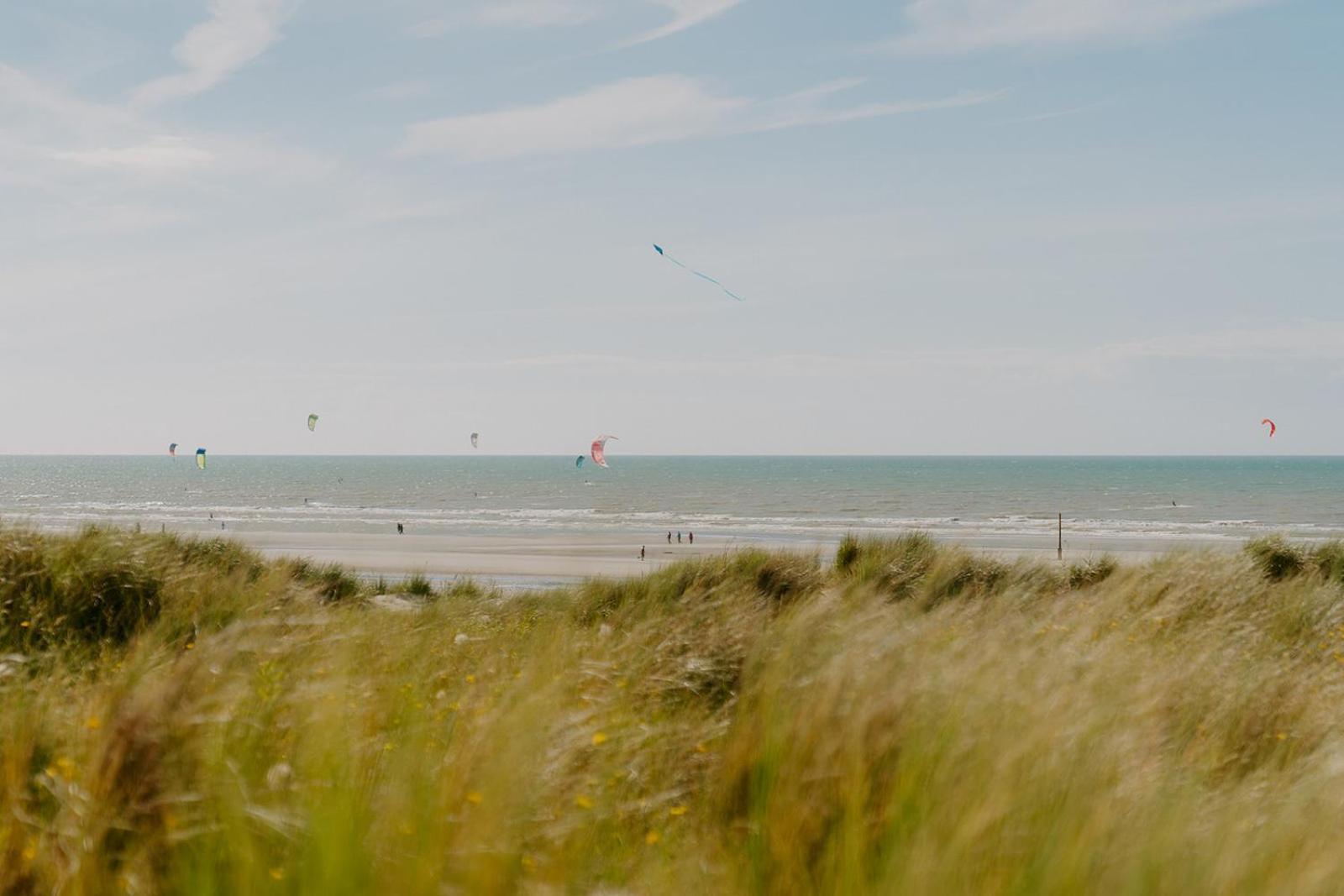Prachtig, Rustig En Ruim Vlakbij Zee * Coxyde