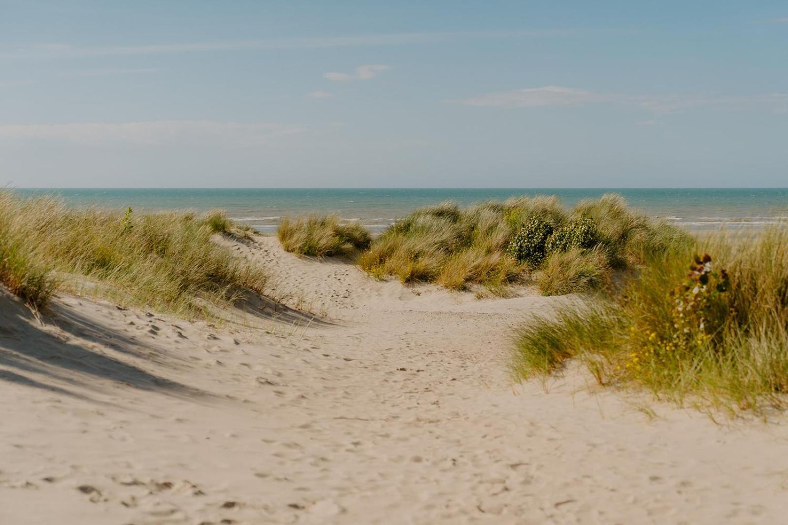 Prachtig, Rustig En Ruim Vlakbij Zee Coxyde