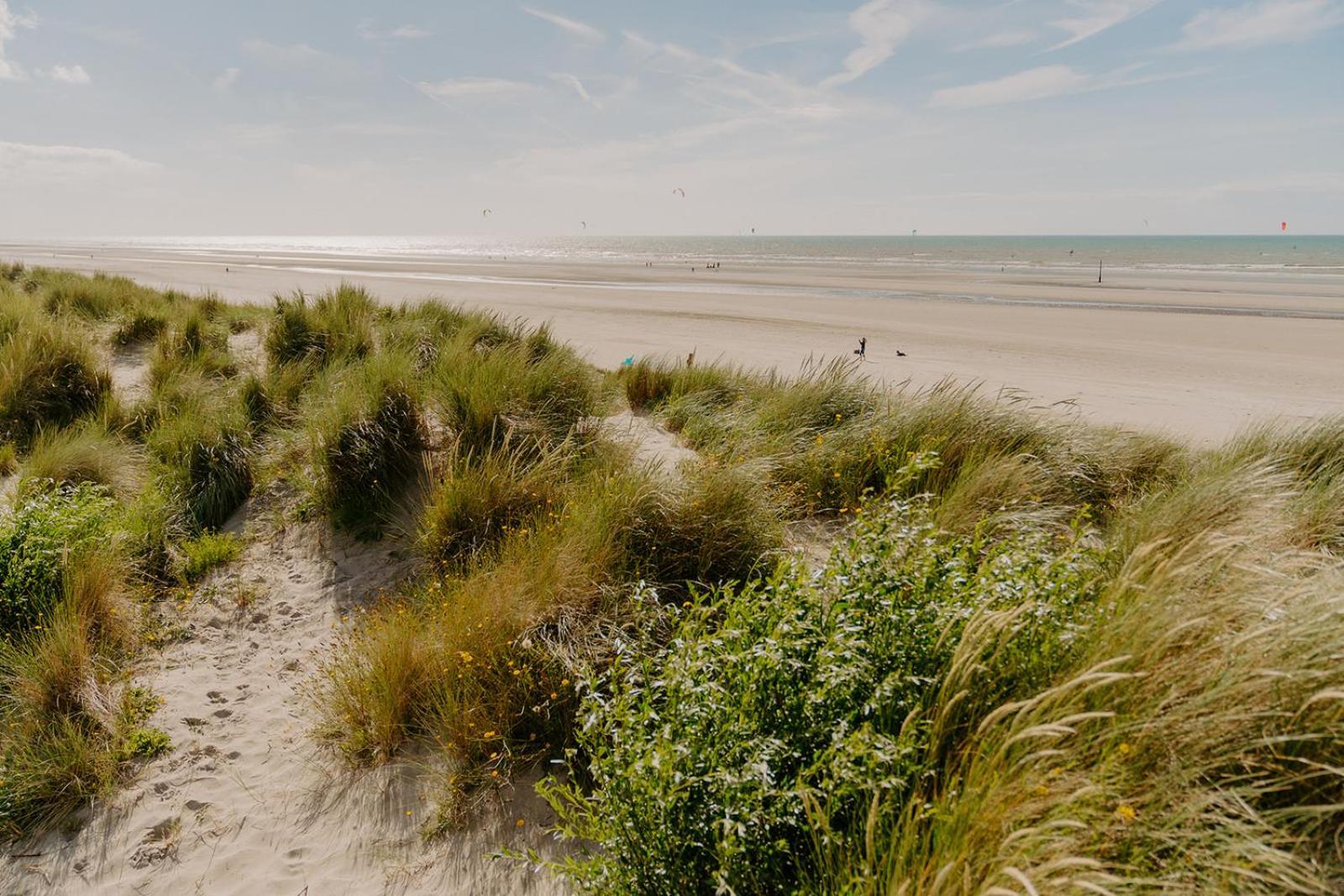 Prachtig, Rustig En Ruim Vlakbij Zee Appartement Coxyde